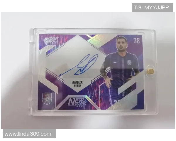 重温绿茵激情聚焦足球SEGA球星卡的收藏魅力与时代记忆